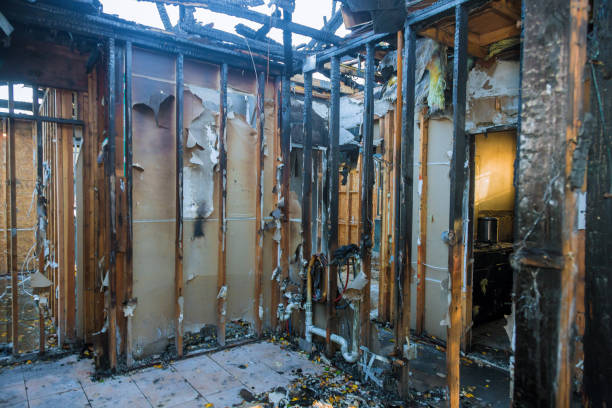 Professional Fire Damage Removal technician working in Littleton, CO